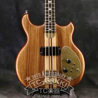 Alembic 1981 Distillate Bass | Reverb