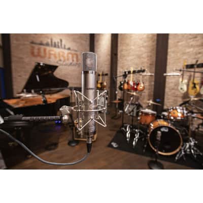 Warm Audio WA-CX12 Professional Large-diaphragm Tube Microphone - (B-Stock) image 5