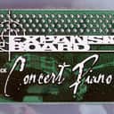 Mint & Tested Working Roland SRX-02 2 Concert PIANO Expansion Board Sound ROM Card SRX02 SRX2 for XV Keyboards / Synths & Fantom S / X / XR (X Rack) Synth Synthesizer. Minty Condition. SAFE Shipping!