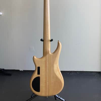 Alembic Essence 5 image 3