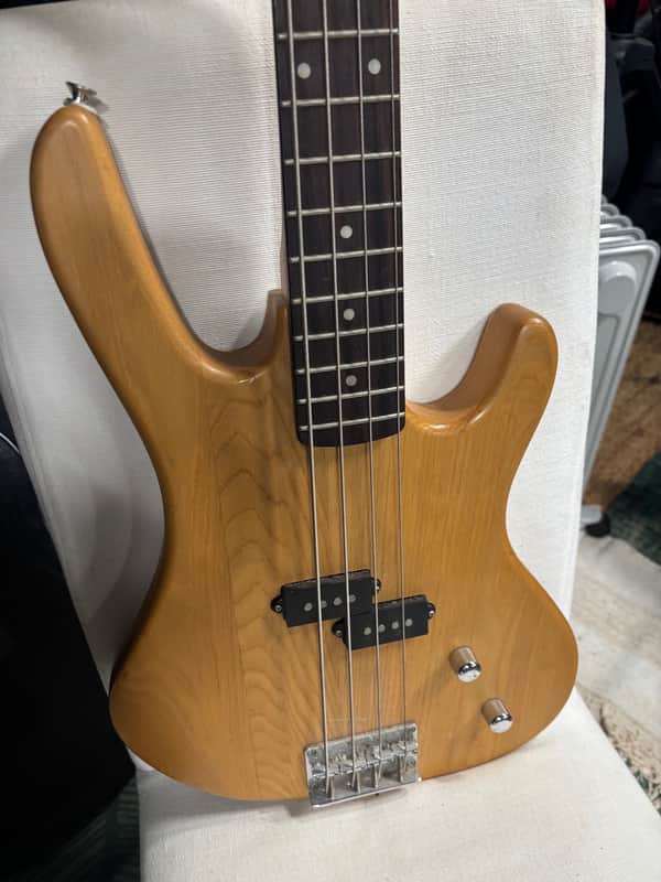 Washburn XB100