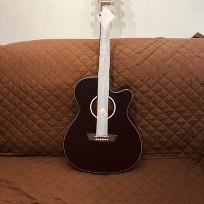 Washburn DFEACE Deep Forest Ebony Ace Stripe Wood Mahogany Neck 6-String Acoustic-Electric Guitar image 8