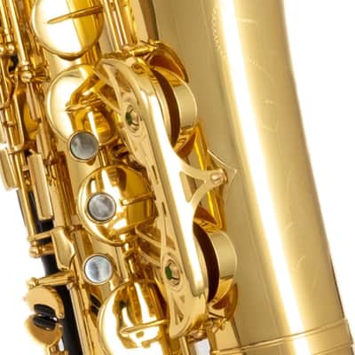 Wisemann DTS-350 2019 - Brass Lacquered image 2