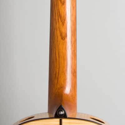 Ross Gutmeier Classical Guitar (2004), black rigid foam case. image 9