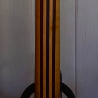 Phil Jones Custom Alembic Omega 1988 image 9