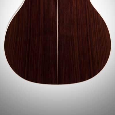 Taylor 814ce-N Grand Auditorium Classical Nylon Acoustic-Electric Guitar (with Case) image 6