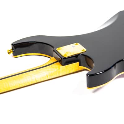 Vigier Excalibur Surfreter Fretless Electric Guitar Owned by Kiko Loureiro image 17