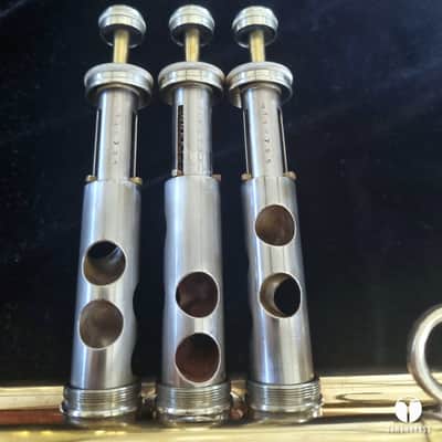 Holy grail ! The Martin Committee Handcraft Goldbrass transitional trumpet case mouthpiece gamonbrass image 25