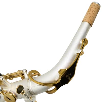 Antigua Winds Model AS4248SQ 'Powerbell' Alto Saxophone - Satin Silver/Gold Keys image 20