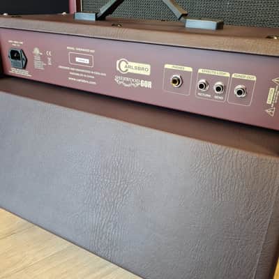 Carlsbro Sherwood 60R 60w Acoustic Guitar Combo image 2
