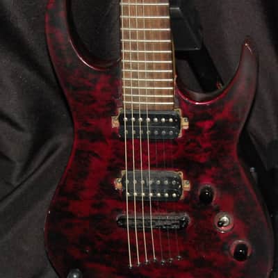 Douglas 7-string Guitar Grendel 725 ? image 1