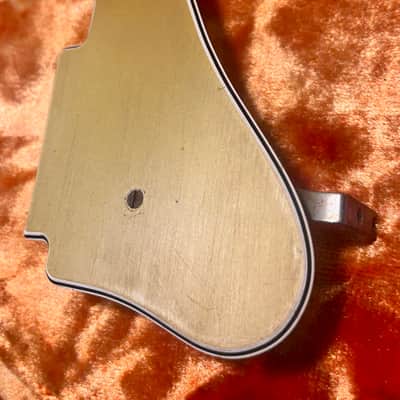 Fender Coronado 1966 - Pickguard image 1