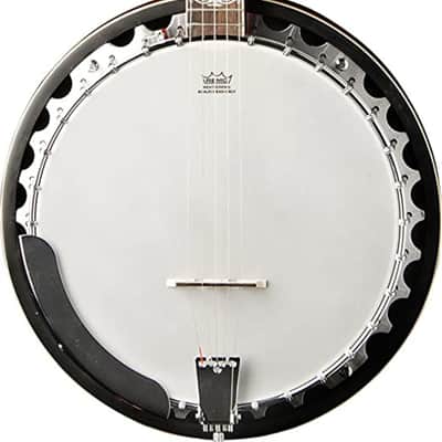 Washburn B10 Americana Series 5-String Resonator Banjo image 1
