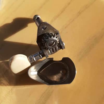 1 Van ghent Tuner White Ovale button knob 60'S . hagstrom. Goya. Gretsch. Guild and Others image 2