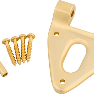 Bigsby Conventional Hinge w/ Hinge Pin and Screws, Gold, 180-0038-006 image 1