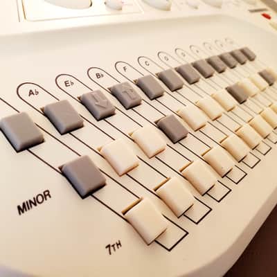 CERTIFIED!!! SUZUKI OMNICHORD OM300 INSPECTED/SERVICED AND IN AMAZING CONDITION! image 9