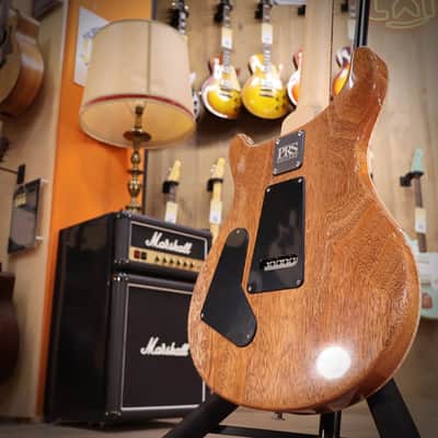 PRS CE24 Carroll Blue - Carroll Blue image 7