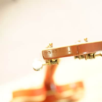 Gretsch 6120 DC Chet Atkins from 1964 image 6