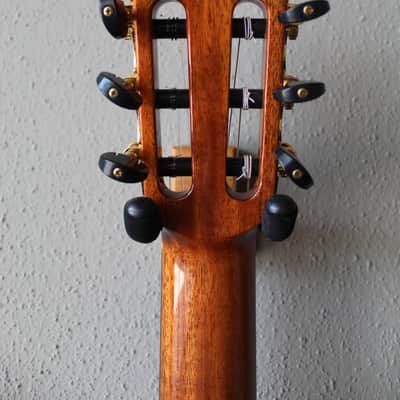 Brand New Cordoba F10 Flamenco Blanca Guitar image 8