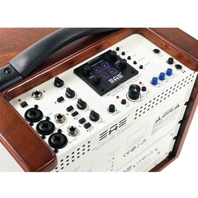 Elite Acoustics EAE D4-8 Rechargeable Acoustic Amp with 4 Channel Digital Mixer/LFP Battery - Wood image 11