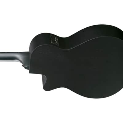 Ibanez AEG1221 12-string Acoustic-Electric Guitar - Black Out image 9