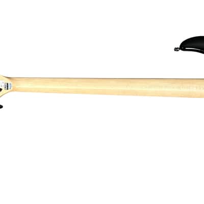 Dingwall Combustion 4 (3 Pup) Blackburst/Maple *In Stock!pppppppppppppppppppppppppppppppppppppppppppp image 9
