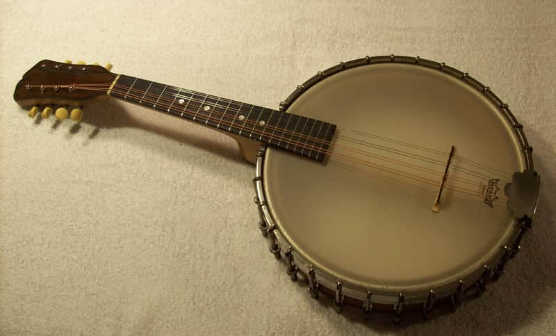 Vega Little Wonder Banjo Mandolin image 1