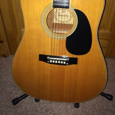 Vintage Emperador AA W2 Acoustic Guitar image 5