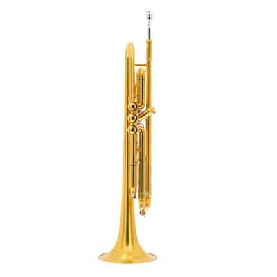 B&S Personality Benny Brown Trumpet - Gold Lacquer with Case image 3