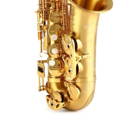 Selmer Paris 82 Signature Series Professional Alto Saxophone - Brushed Lacquer image 2