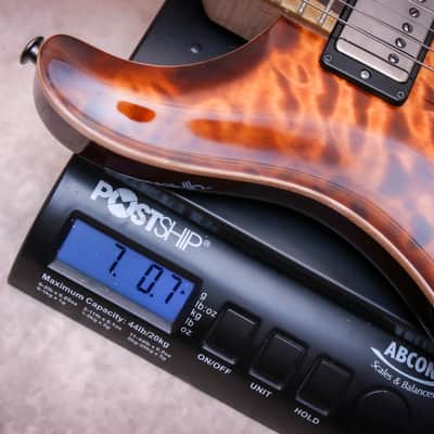 PRS USA Paul Reed Smith Wood Library Special 22 Semi Hollow 10-Top "Copperhead Burst" (2024) image 21