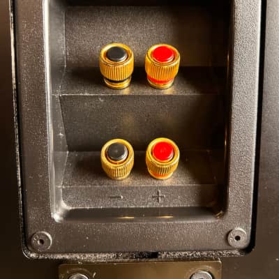 Immagine Totem Acoustic Tribe III Surround Speaker - 8
