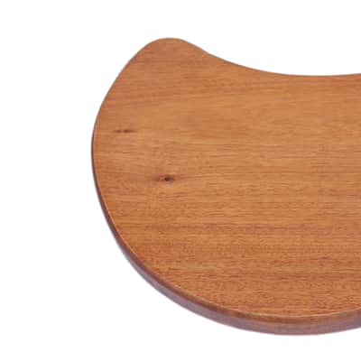 Special Steel String Electric Oud RaksOud Mat image 12