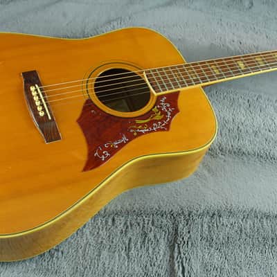 Roje by Zen-On 250 Hummingbird Style Acoustic Japan image 4