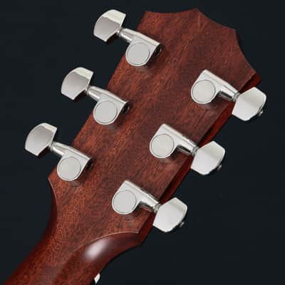 Taylor T5z Classic Mahogany Taylor [1102134148] (06/08) image 16