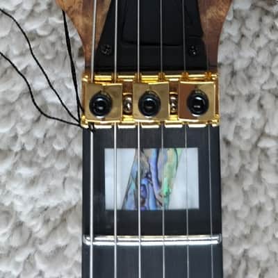 Ibanez RG Premium Electric Guitar Antique Brown Stained Flat Model RGT1220PBABS image 7