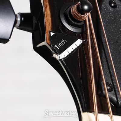 Taylor 214ce Plus Acoustic-electric Guitar - Black (214ceBkPd1) image 4