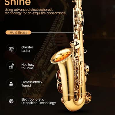 Leo Jaymz Eb Alto Saxophone - One-Piece Body or Neck Construction, H68 Brass, with Thickened Travel Bag - Gold image 4