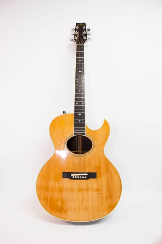 Washburn Tanglewood - Natural Rose Wood image 1