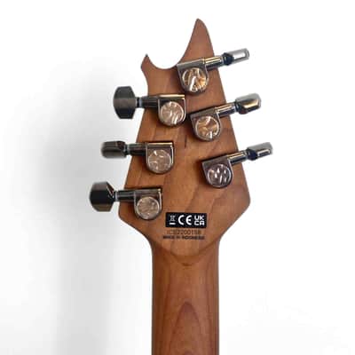 EVH Wolfgang WG Exotic Koa- Koa Natural image 10