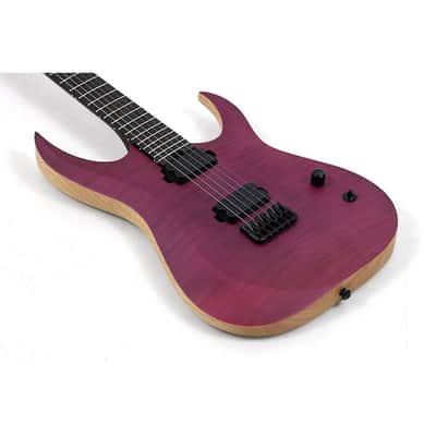 Schecter Guitar Research John Browne Tao-6 Electric Guitar Regular Satin Trans Purple image 3
