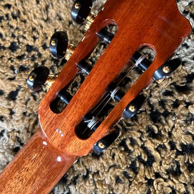Cordoba C10-CD Cedar Classical Guitar 2025 - Natural image 21