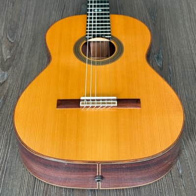 Cordoba Pro R Classical Guitar - Acoustic/Electric - LR Baggs Pickup - Hardcase image 3