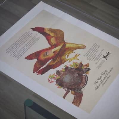 Fender Telecaster & Twin Reverb Authentic Vintage Poster "The High-Flying Mellow-Throated Telecaster" with Version B Bonus Poster Artist Endicott Circa-1976-Multi Color image 20