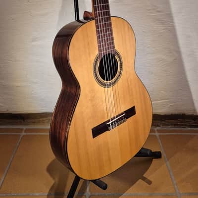 Antonio Picado 40 1992 image 14
