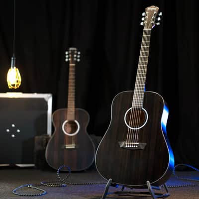 Washburn DFED Forest Dreadnought Shape Striped Ebony Ace Wood Mahogany Neck 6-String Acoustic Guitar image 1