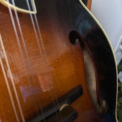 1983 Kentucky KM-Dawg (with video): Monteleone designed / Grisman endorsed / Sumi made image 11