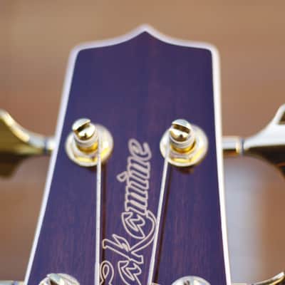 Takamine B72CE-BSB - Sunburst image 11