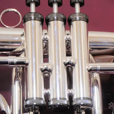 Brasspire Unicorn BPFG-850BS Black Nickel Trim (NEW) Flugelhorn image 10
