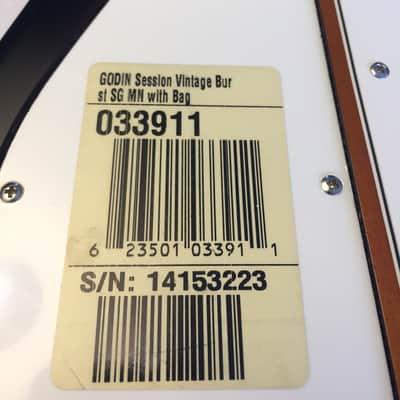 Godin Session (made in USA/Canada)  includes matching soft case image 17